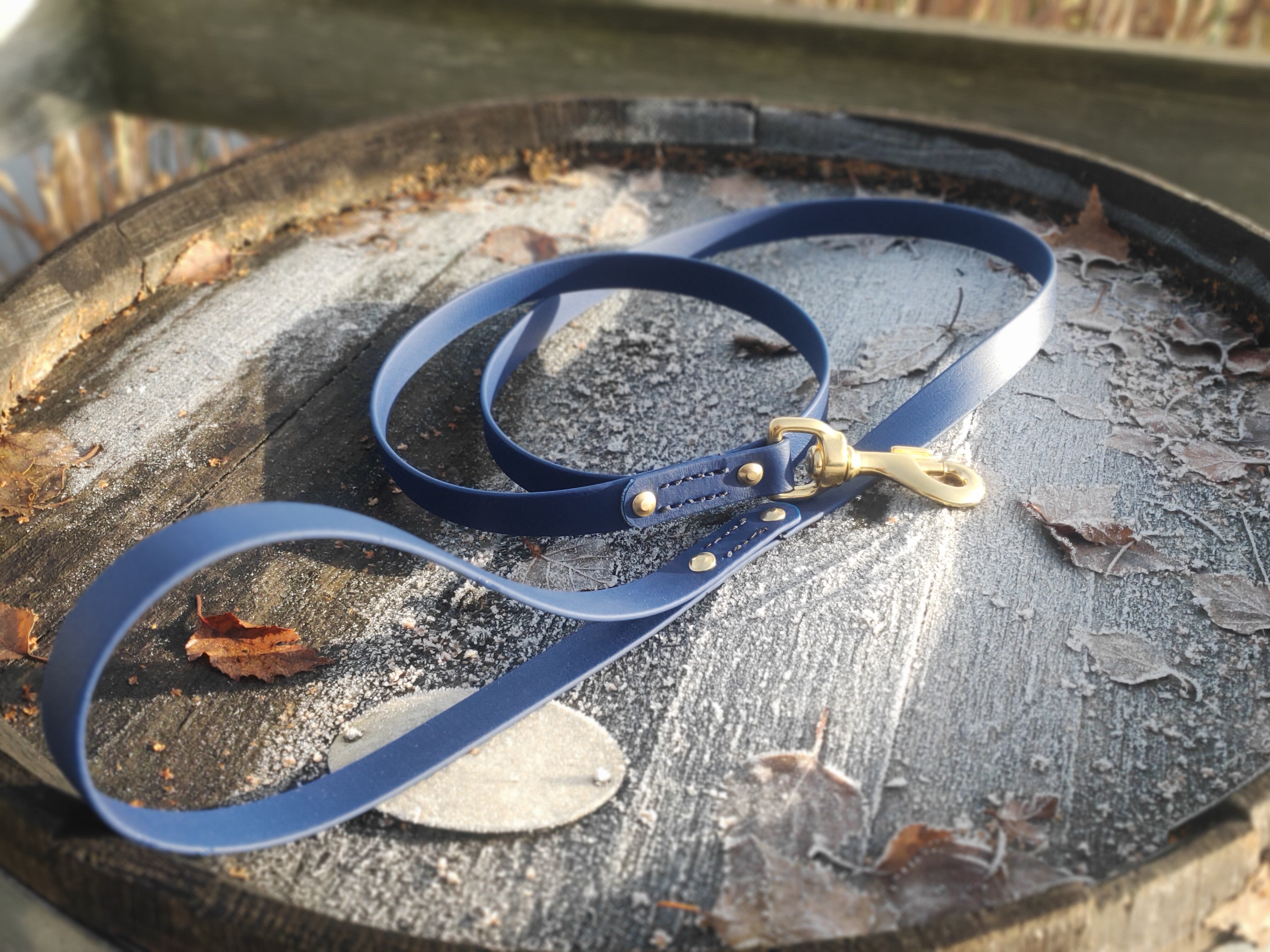 Biothane leashes