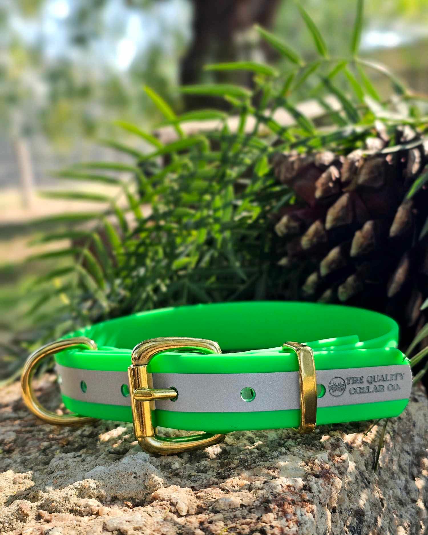 Hi-Viz Reflective Working dog style flat collar (1”/25mm Width)