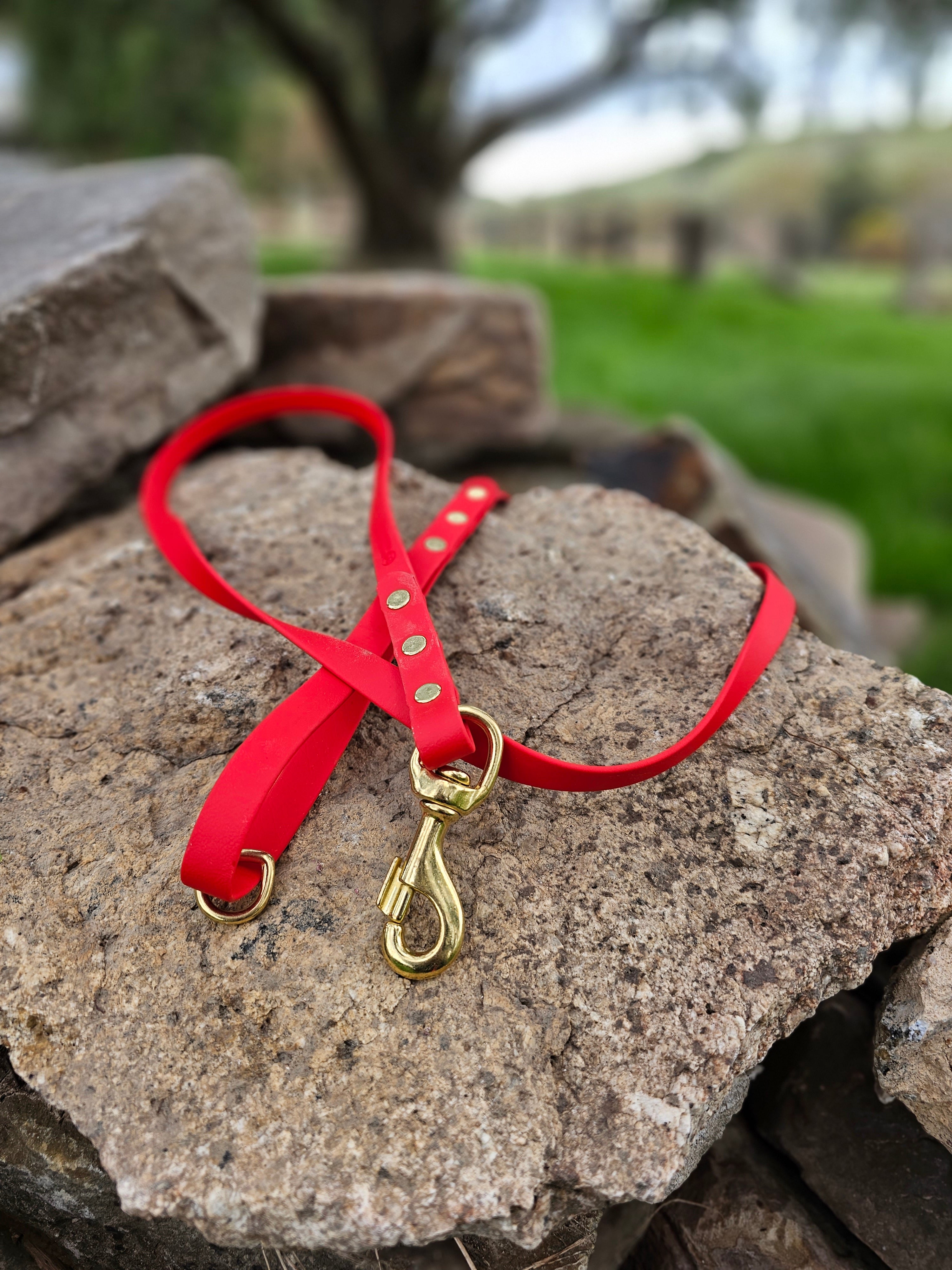 Standard leash