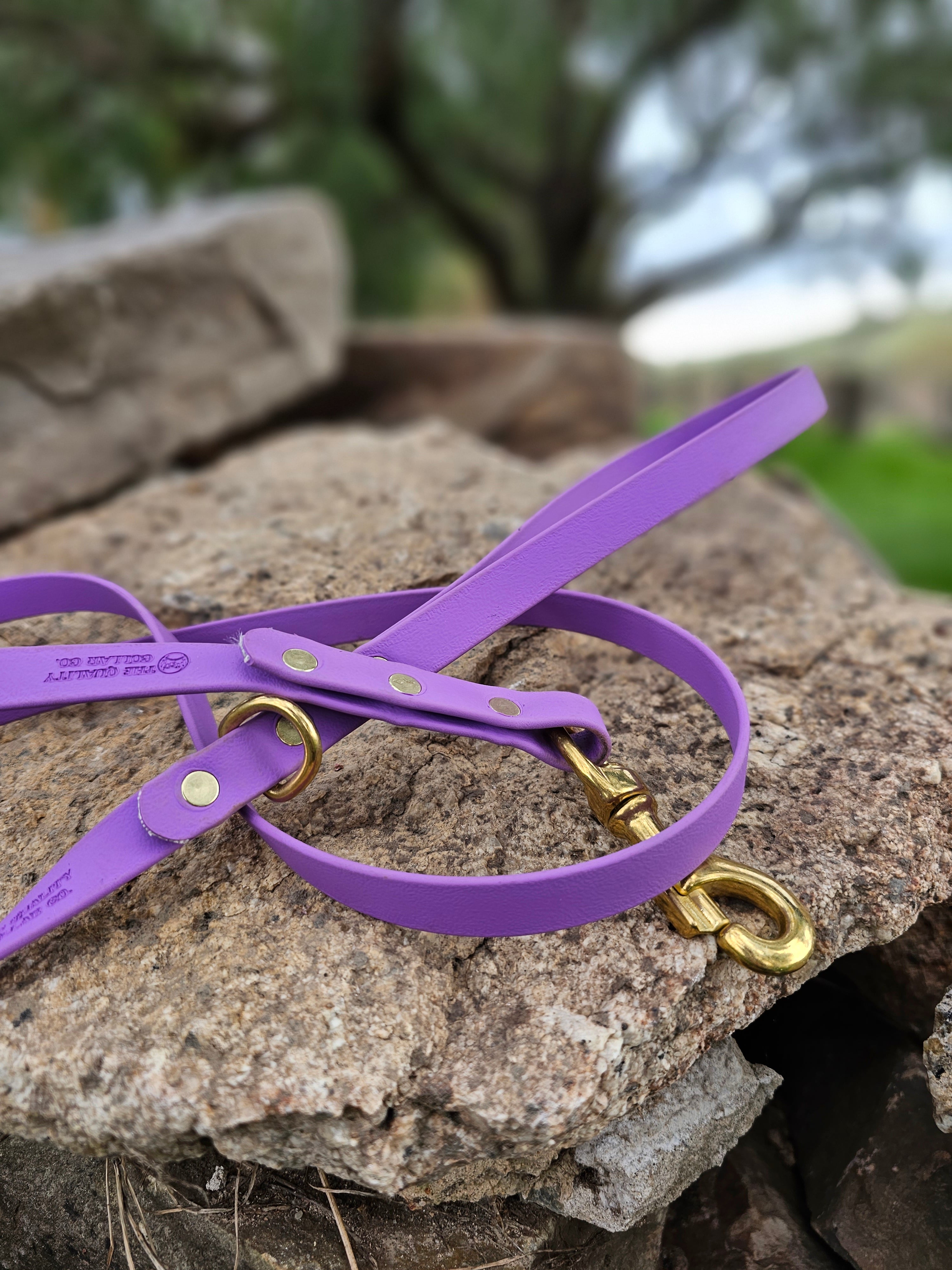 Standard leash