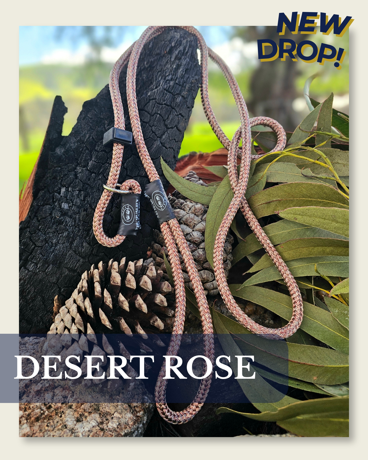New Release- Country Western 26'