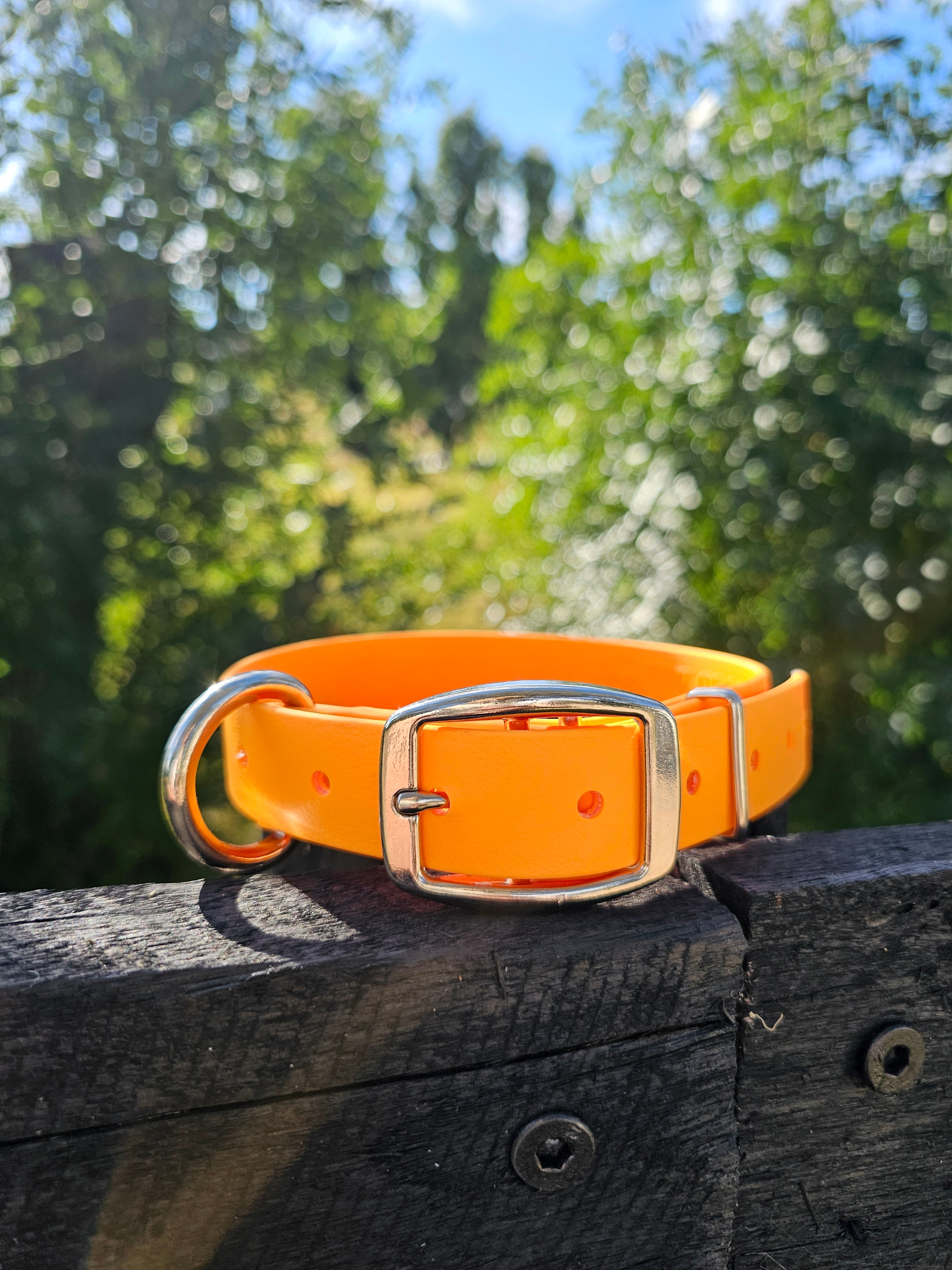Working dog style flat collar 1 Inch Width