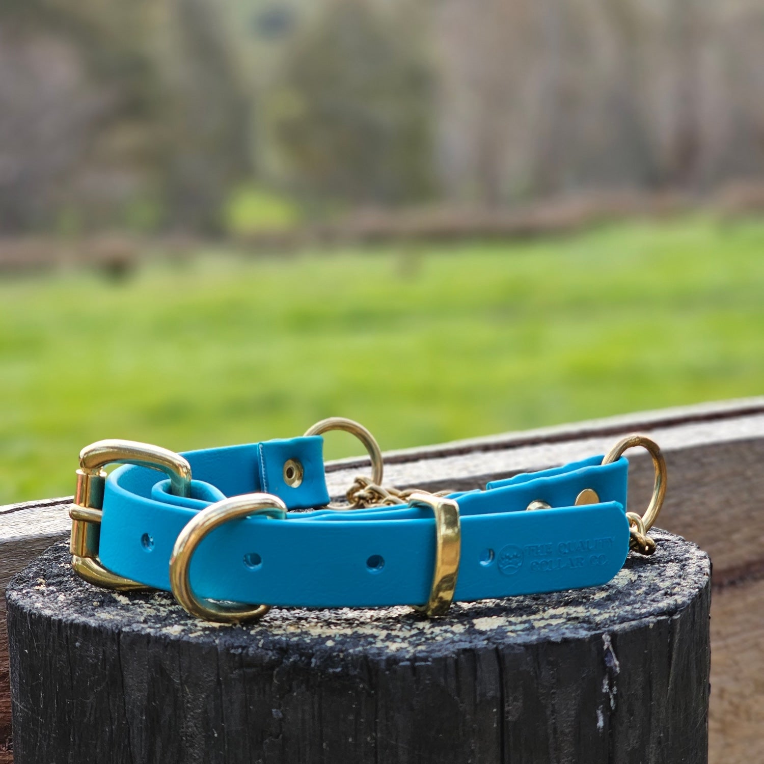 Martingale Collar with Brass Hardware