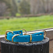 Load image into Gallery viewer, Martingale Collar with Brass Hardware
