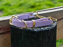 Load image into Gallery viewer, Martingale Collar with Brass Hardware
