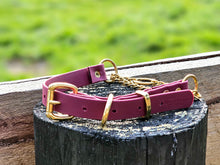 Load image into Gallery viewer, Martingale Collar with Brass Hardware
