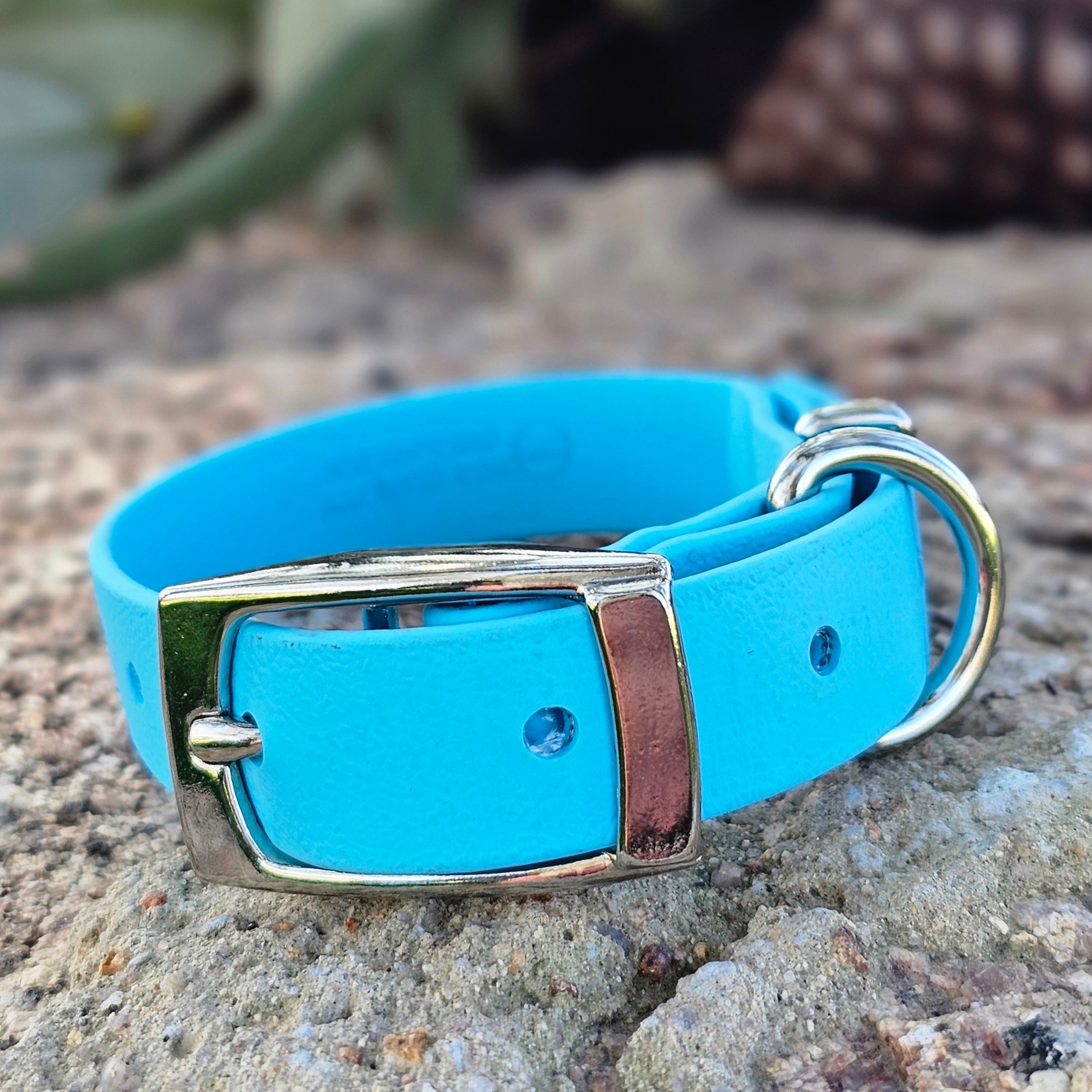 Puppy & Small Dog Collar