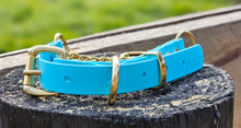 Load image into Gallery viewer, Martingale Collar with Brass Hardware
