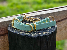 Load image into Gallery viewer, Martingale Collar with Brass Hardware
