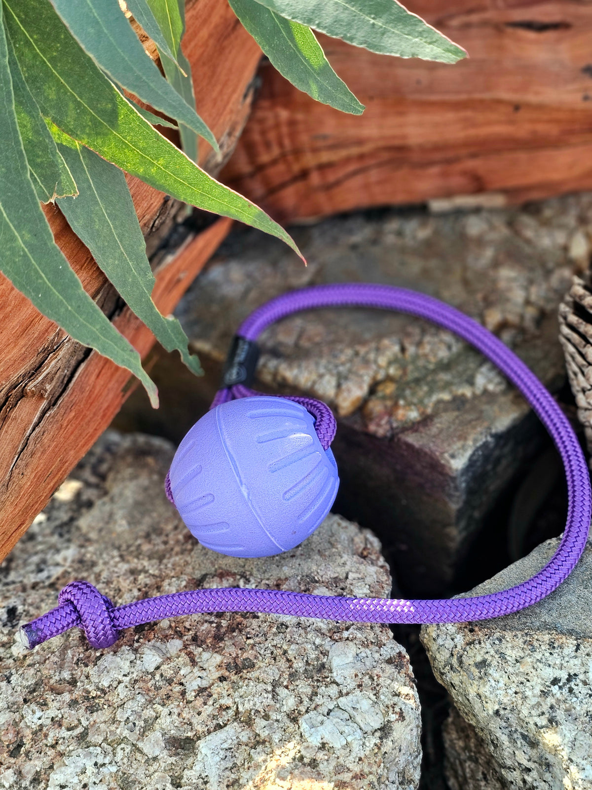Dura-Foam Ball with Rope Handle by Ruff-Paws!