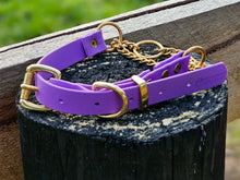 Load image into Gallery viewer, Martingale Collar with Brass Hardware
