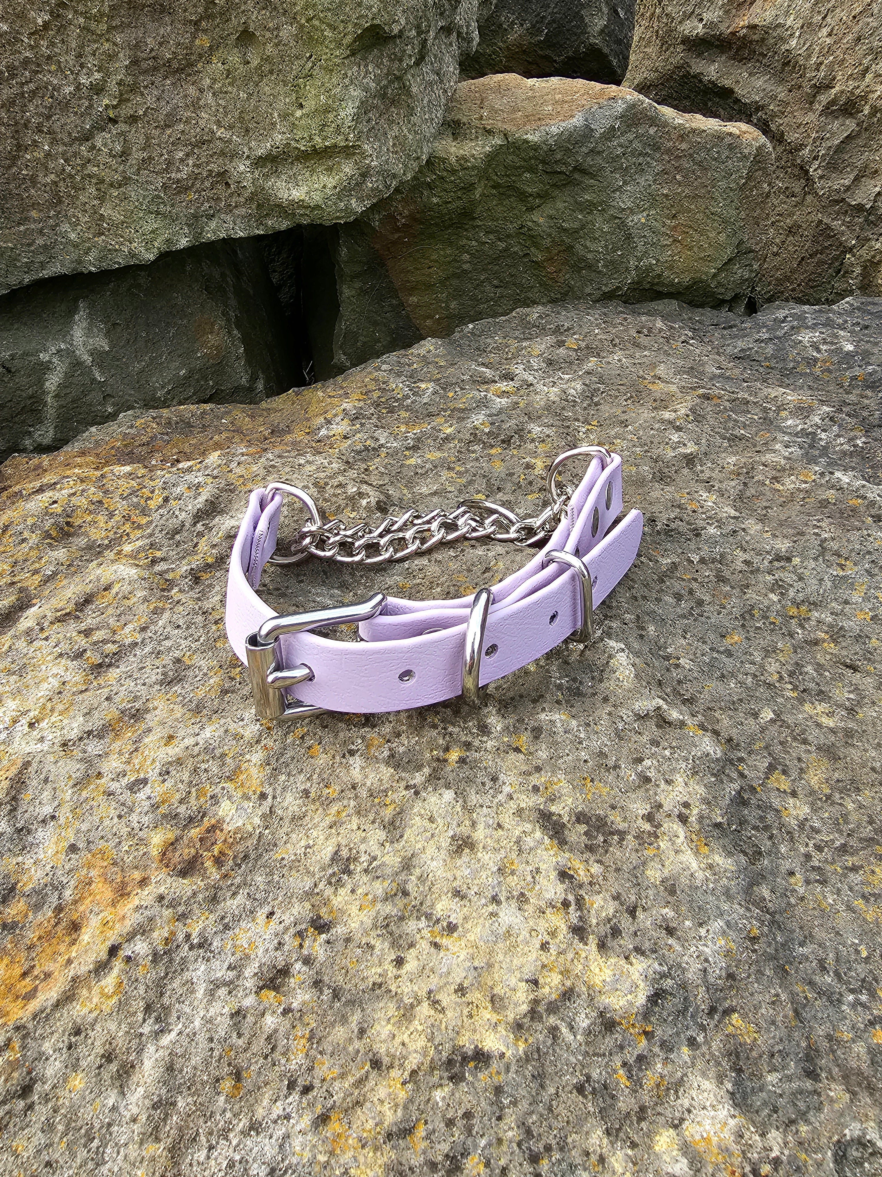 Martingale Collar with Stainless steel hardware