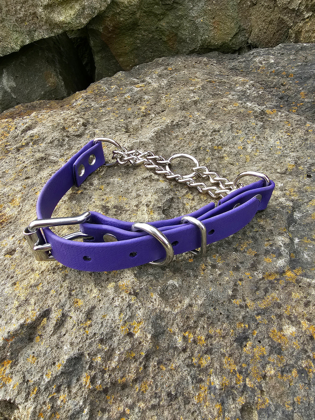 Martingale Collar with Stainless steel hardware and *Herm Sprenger* Chain