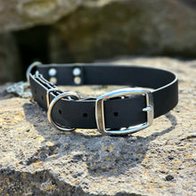 Load image into Gallery viewer, 1 inch Martingale Collar *Herm Sprenger Chain*
