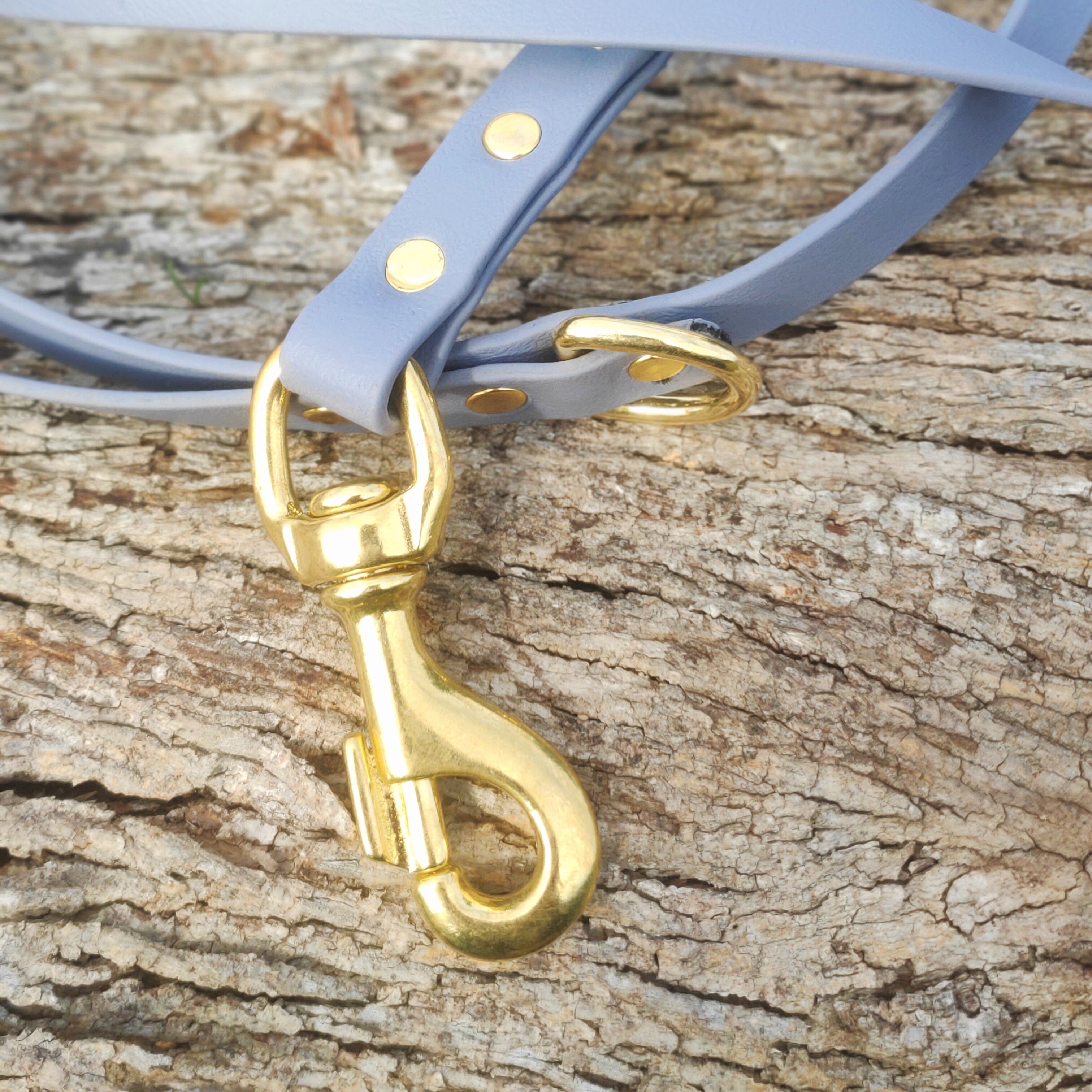 The Ultimate Adventure Leash