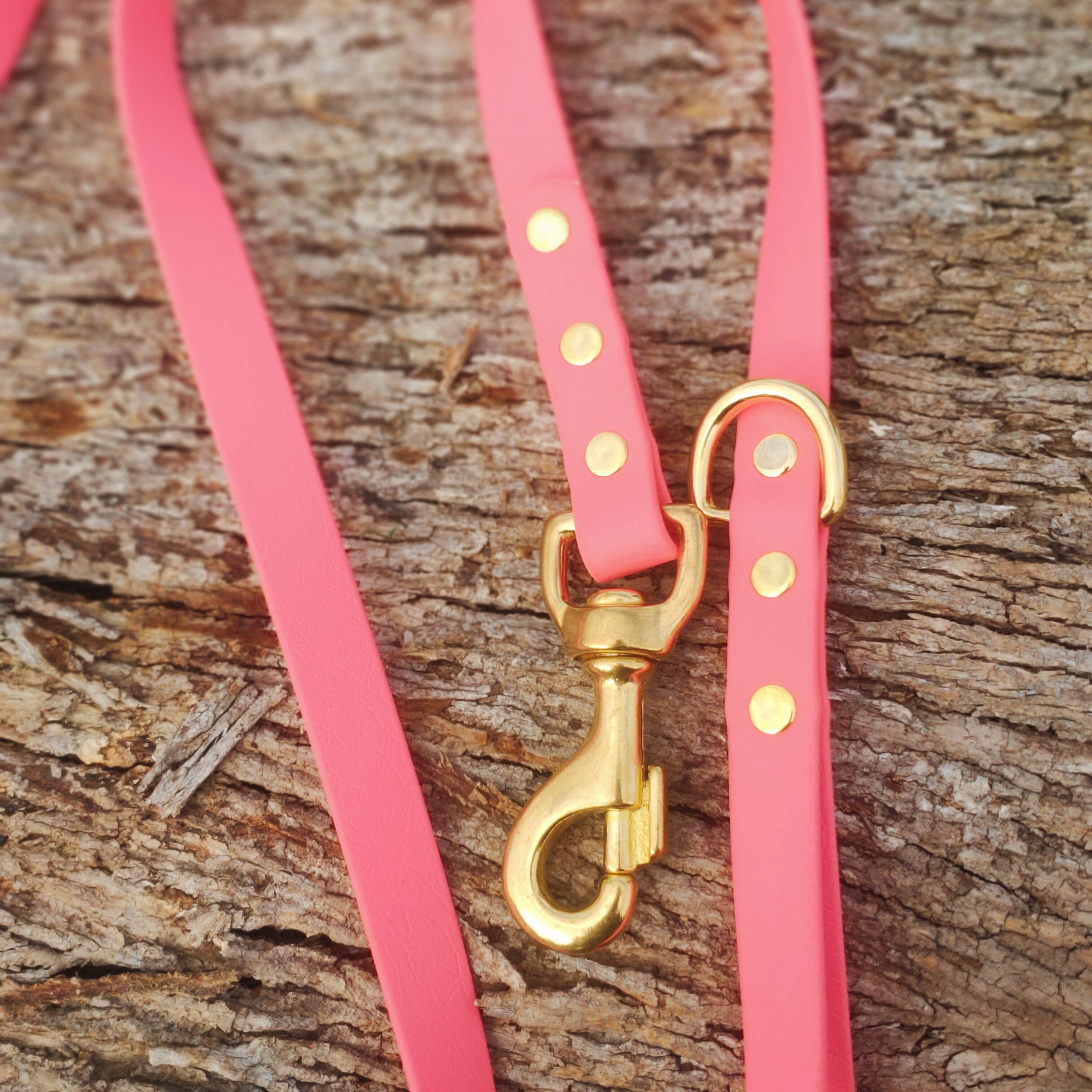 The Ultimate Adventure Leash