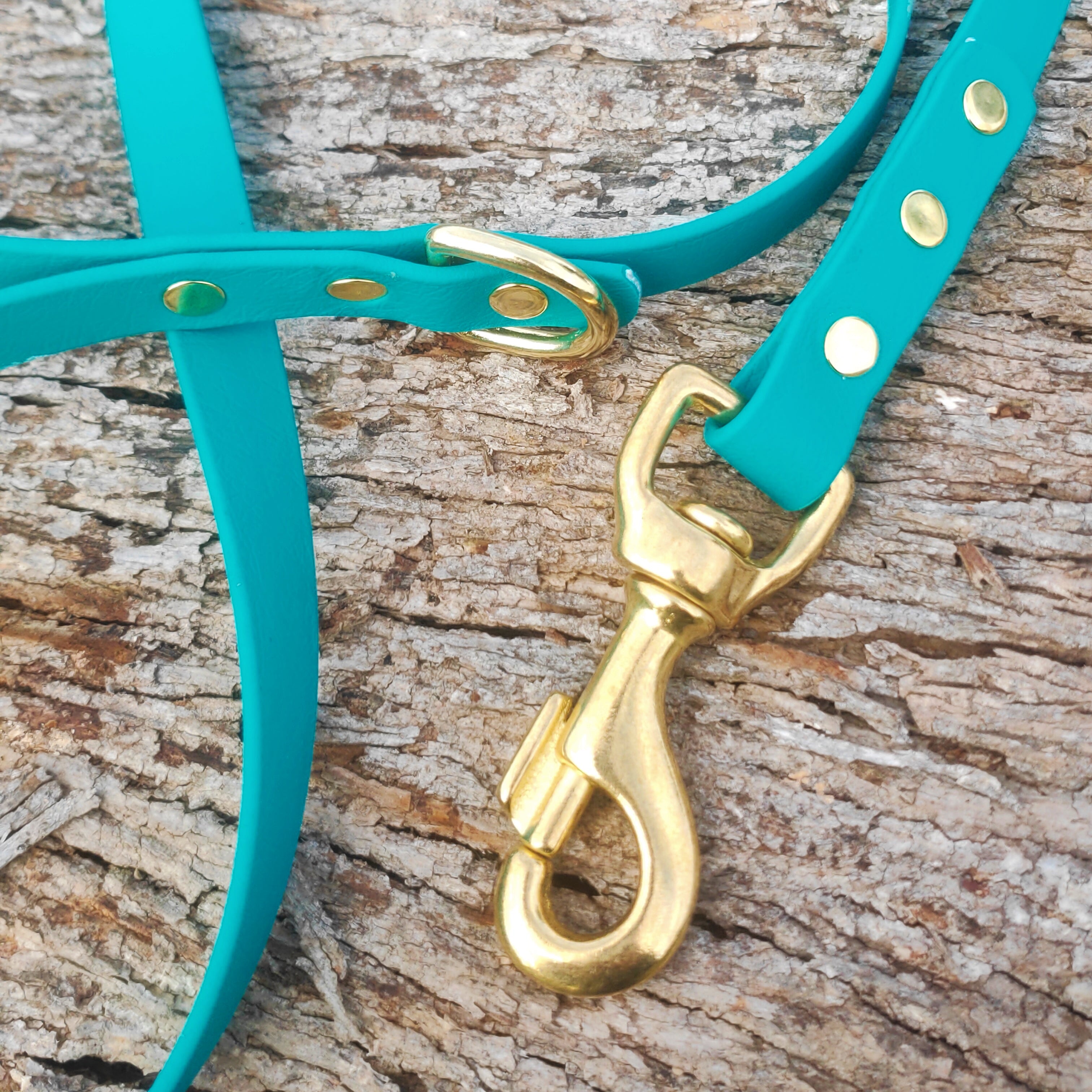 The Ultimate Adventure Leash